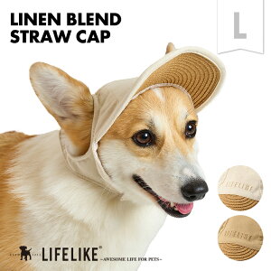 _I999~^ylLbvLz ̕ 蕨  Ԃ Xq Lbv co ^ tu AEghA X l i` 悯 O \h ybg