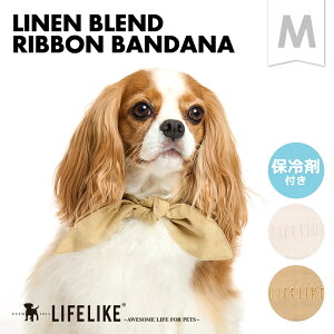 yl{o_iMz ̕  N[ACe N[o_i ^ ^ ΍ MǑ΍  Ђ U ybg ObY ybg ObY LIFELIKEmԕisETCY