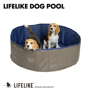 yLIFELIKEhbOv[z v[ rj[v[ ybgv[ {[v[ ƒp qǂ LbY p v[ Csv ܂肽 t@~[v[  L C ybgoX V 