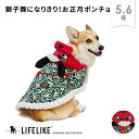 【正月獅子舞ポンチョ5-6号】犬 服 シンプル おしゃれ 中型犬 撮影 写真 年賀状 お祝い イベント お正月 リードホール…