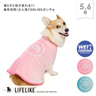 ＼2個購入で20%OFF／【COOLINGカラーチェンジポンチョ5-6号】ドッグウェア 中型犬 犬 服 春 夏 ポンチョ …