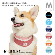 ＼2個購入で20%OFF／【ICEマウンテンバンダナM】犬 クールアイテム クールバンダナ 中型犬 春 夏 暑さ対…