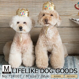 楽天市場 犬 パーティー グッズの通販