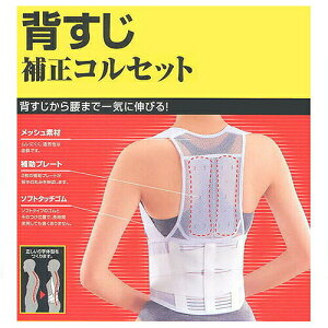 猫背 コルセットの人気商品 通販 価格比較 価格 Com