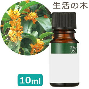キンモクセイ アロマ オイル アロマオイルの人気商品 通販 価格比較 価格 Com