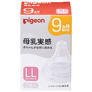 sW pigeon   9 LLTCY 2