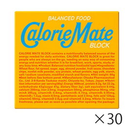 カロリーメイト ブロック バニラ味 4本入×30個calolie mate 大塚製薬