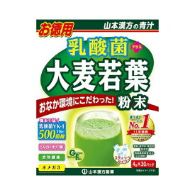 山本漢方製薬 乳酸菌大麦若葉粉末徳用 4g×30包
