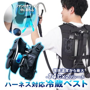 TR[ n[lXΉ①xXgt@tEFA ƃZbg pjbg tn[lXΉ  V y`F y`F