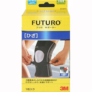 X[G tc T|[^[ Ђp t[TCY 13M T|[^[ G qU t[