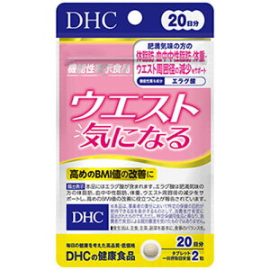 DHC 20EGXgCɂȂ 40 @\\Hi EGXg Tvg