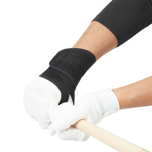 D&M 싅pT|[^[ T|[^[ I[v^Cv p Ōp Ep 1Z싅Ή T|[^[  T|[^[ ̌Œ