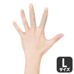 D&M wT|[^[ 2 x[Ww֐ ی wT| 2 Y fB[X e[sO ^Cv