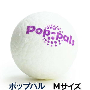 vbc GiGwi |bvp Mp{[  y v ې􂢉\ CtBiW[fގgp