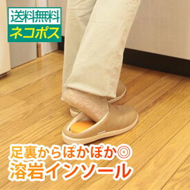 溶岩インソール スリッパ用室内履き用 スリッパ用 インソール ぽかぽか 足裏 保温 中敷き オーラ岩盤