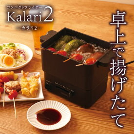 サンコー コンパクトフライヤー カラリ2KRAR25SBK 卓上 電気 フライヤー 卓上電気フライヤー からり2 電気フライヤ