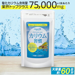 カリウム 健康食品 サプリメントの通販 価格比較 価格 Com