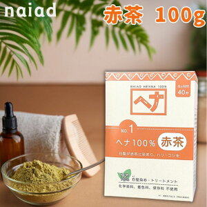 y[֑z iCA[h wi Ԓ ؗ   wiJ[  100g VR fB[X Y