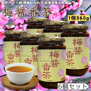 y6Zbgz ~ݔԒ I Ԓ ݖ  썂~ IB~ ~ GLX ACX ~傤Ԓ 360g×6 ܖ2026/4