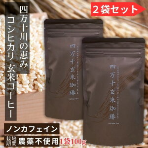 【2袋セット】 四万十玄米珈琲 ( 玄米コーヒー ) 四万十無農薬玄米 ノンカフェイン デカフェ 玄米焙煎パウダー 玄米 顆粒タイプ 100g×2個 賞味期限2027/5/28