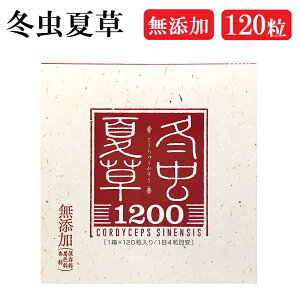 ~đ1200 i120/1j ~đ Y Tv  Rq  Tvg  Y