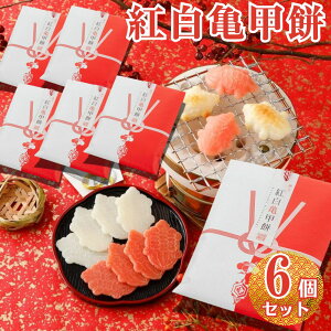 ycizgTb Fς݉N   G ܂ N p N aَq g { wُ@T ܖ2026/04/11