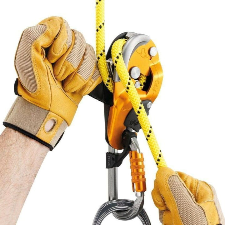 楽天市場】PETZL ペツル リグ RIG 下降器 日本語説明書付き ［並行輸入 