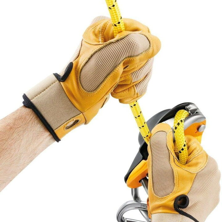楽天市場】PETZL ペツル リグ RIG 下降器 日本語説明書付き ［並行輸入 