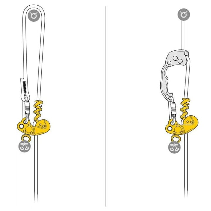 楽天市場】PETZL ペツル ジグザグ プラス Zigzag Plus 下降器 