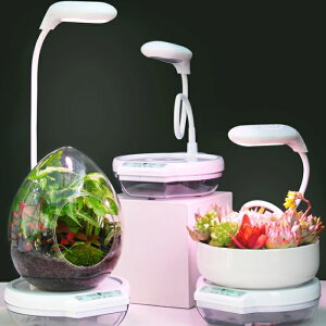 LEDA琬CgtʋX^h ledA琬Cg ʋ ドCg |bg  A琬Cg LED A琬 ϗtA A琬 琬Cg A Cg 24LED ͔| k͔| 