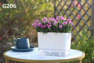  TCY ʋ v^[  v^[  |bg  ϗtA A Ӓ T{e VN S  񂹐A | | K[fjO CeA  