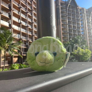 ᐳKi AEjfBYj[ I Olu K ~j|[` AEj _btB[&tY yJzyE~KzyHAWAIIzynCAzyOLUzyDisneyzyAULANIzyzk