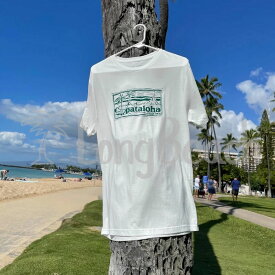 楽天市場 パタゴニア Tシャツ スリムフィットの通販