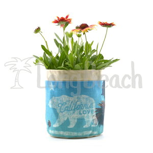 [SEVEN ISLAND] yPP007zvg|[` Plant Pouch/California Love Bear JtHjA u xA[yAJo[zyCaliforniazyJtHjAzyZuAChzySBz