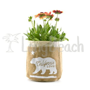 [SEVEN ISLAND] yPP008zvg|[` Plant Pouch/California Love Bear Brown JtHjA u xA[ uEyAJo[zyCaliforniazyJtHjAzyZuAChzySBz