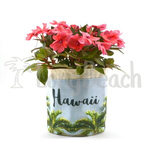[SEVEN ISLAND] yPP003zvg|[` Plant Pouch/Hawaii Palms nC V̖؁yAJo[zyAnzynCzyALOHAzyHAWAIIzyZuAChzySBz