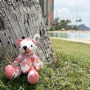 ᐳKi⃍CnCA efBxA ʂ݃L[z_[ nCyzkz