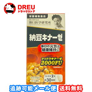 �y���|�C���g�o�b�N��2%OFF�N�[�|�����|�C���gUP!�z�y���������z�[���L�i�[�[60��EX2000�y�h�{�⏕�H�i�z