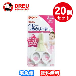 y20ZbgzPigeon xr[ܐ؂nT~i3`j