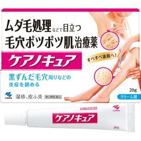 【2個セット送料無料】小林製薬株式会社 ケアノキュア　20g【第2類医薬品】