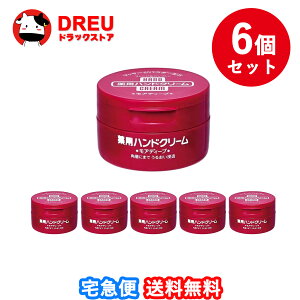 【送料無料 まとめ買い6個セット】ハンドクリーム 薬用モアディープ(100g)【薬用ハンドクリーム】【ファイントゥデイ】