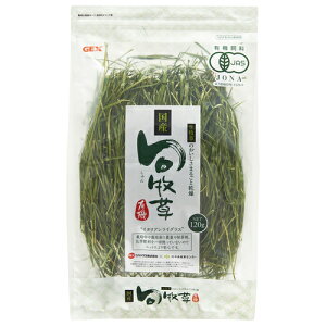 yszy2ZbgzGEX WFbNX {qC^ACOX 120g ܂Ƃߔ  ybg q