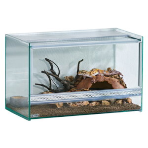 �y�����s�z�W�F�b�N�X ���v�e���A �N���A�l�I 400Slim ঒��� �P�[�W