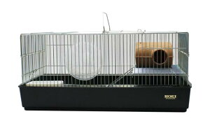 �y�����s�z �L�h�����H�Ɗ������ 580HMS�u���b�N