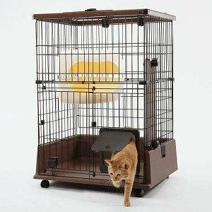 yeBI yszyeBI necocoeL̂ɂ҂ȃLbg[T[N