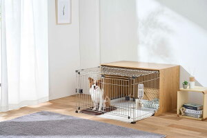 ysz{rAR@ԃT[NOC-W900