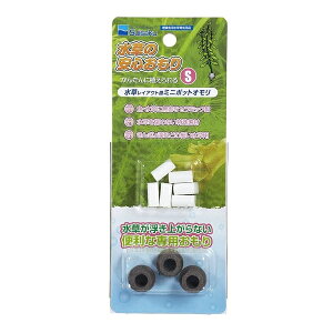 yszy3Zbgz@̈SS3