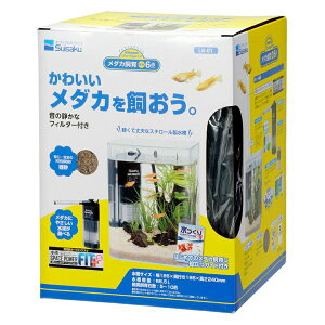 yszy2Zbgz  gANAE _J {6_Zbg