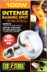 yszWFbNX TO[ ^Cgr[ oXLO X|bgv PT2138 100W