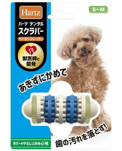 ZAOC^[iVi yszy2Zbgz n[c `[fg@݂@XNo[ S-M